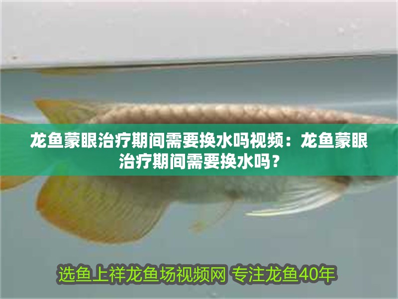 魚缸用增氧泵價格是多少:魚缸增氧機-xtrac增氧機-xtrac增氧機 龍魚蒙眼治療期間需要換水嗎視頻:龍魚蒙眼治療期間需要換水嗎? 水族問答 龍魚蒙眼治療期間需要換水嗎視頻:龍魚蒙眼治療期間需要換水嗎? 龍魚蒙眼治療期間需要換水嗎視頻:龍魚蒙眼治療期間需要換水嗎? 水族問答