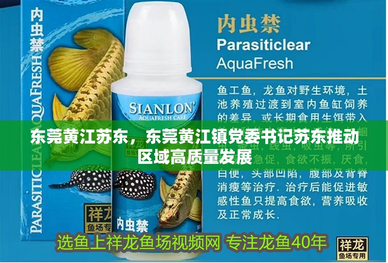 東莞黃江蘇東，東莞黃江鎮黨委書記蘇東推動區域高質量發展 東莞黃江蘇東，東莞黃江鎮黨委書記蘇東推動區域高質量發展 龍魚論壇