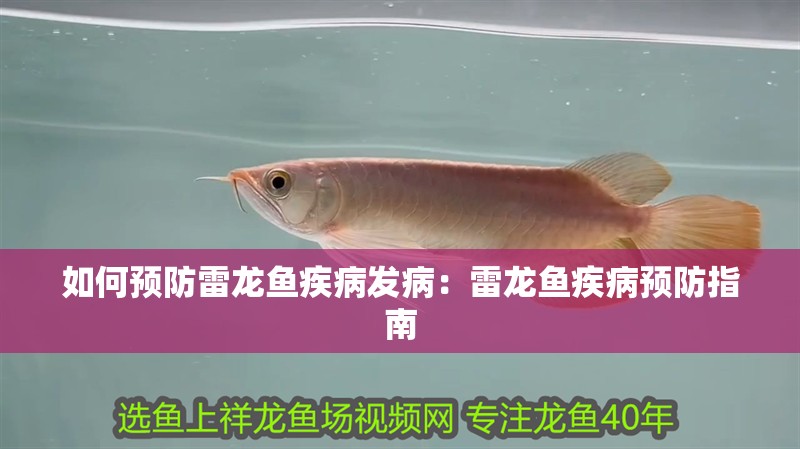 如何預防雷龍魚疾病發病：雷龍魚疾病預防指南