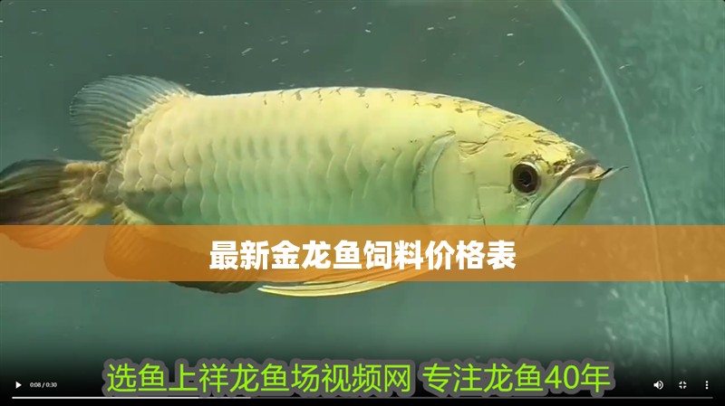 最新金龍魚飼料價(jià)格表