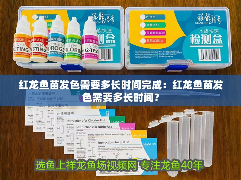 紅龍魚苗發(fā)色需要多長時間完成：紅龍魚苗發(fā)色需要多長時間？