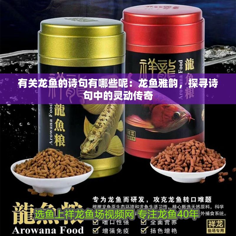 有關龍魚的詩句有哪些呢：龍魚雅韻，探尋詩句中的靈動傳奇