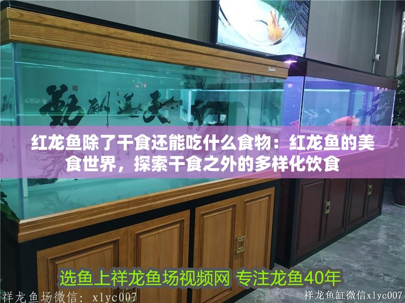 金龍魚吃什么魚苗長得快：金龍魚吃什么魚苗長的快 金龍魚吃什么魚苗長得快：金龍魚吃什么魚苗長的快 龍魚百科