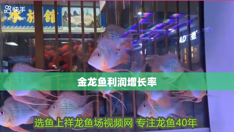 金龍魚利潤增長率