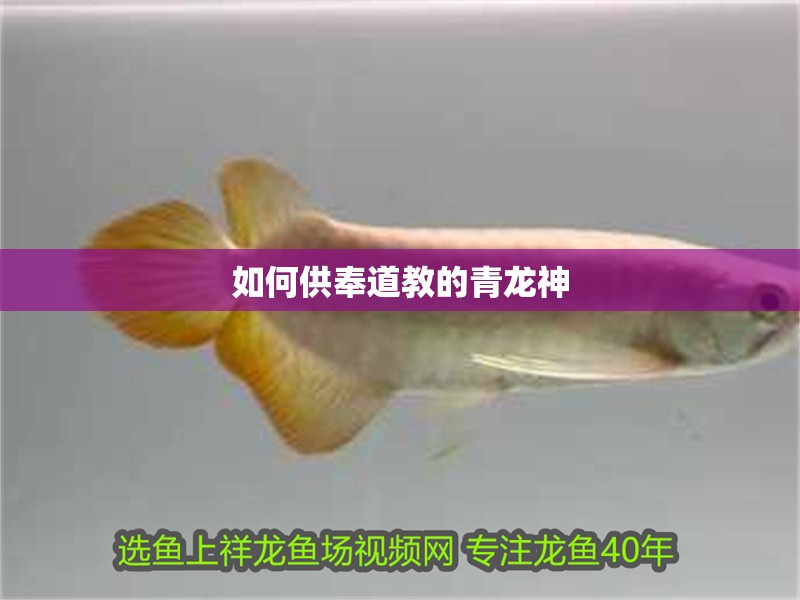 如何供奉道教的青龍神