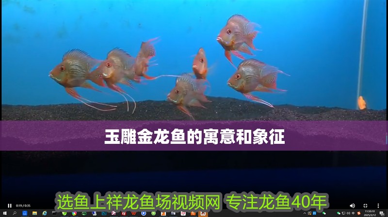 玉雕金龍魚的寓意和象征 玉雕金龍魚的寓意和象征 龍魚百科