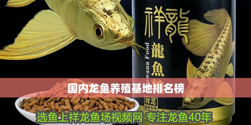 國內龍魚養殖基地排名榜