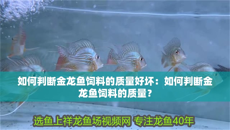如何判斷金龍魚飼料的質量好壞：如何判斷金龍魚飼料的質量？