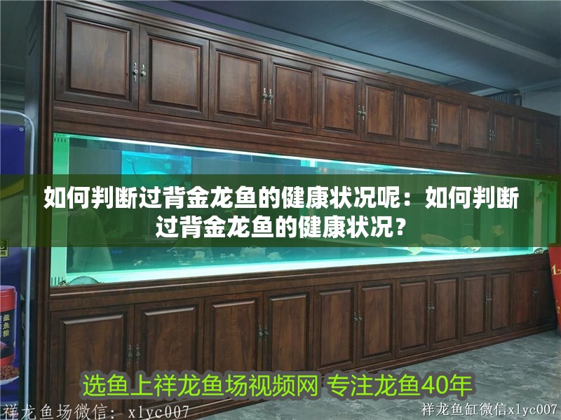 如何判斷過背金龍魚的健康狀況呢：如何判斷過背金龍魚的健康狀況？