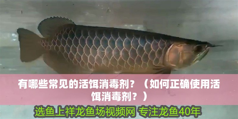 有哪些常見的活餌消毒劑？（如何正確使用活餌消毒劑？）