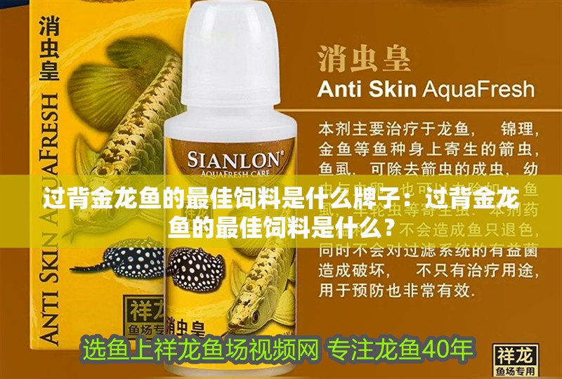 過背金龍魚的最佳飼料是什么牌子：過背金龍魚的最佳飼料是什么？