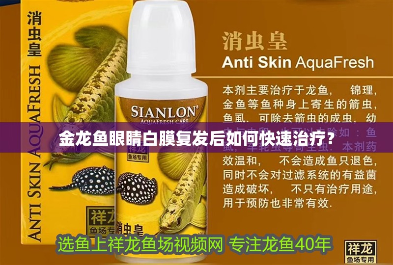 金龍魚眼睛白膜復(fù)發(fā)后如何快速治療？