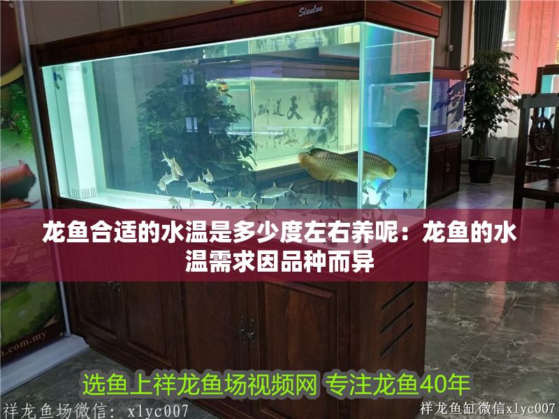 龍魚合適的水溫是多少度左右養呢：龍魚的水溫需求因品種而異