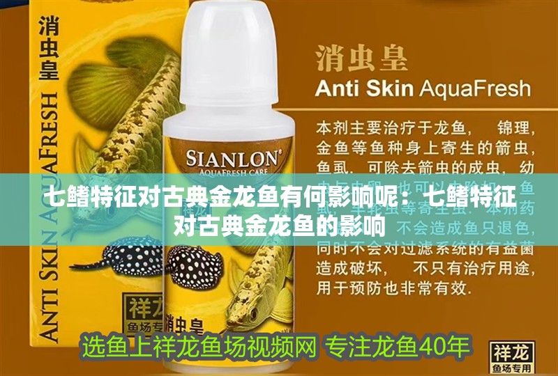 七鰭特征對古典金龍魚有何影響呢：七鰭特征對古典金龍魚的影響