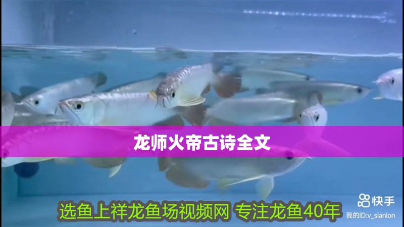 龍師火帝古詩全文 龍師火帝古詩全文 龍魚百科