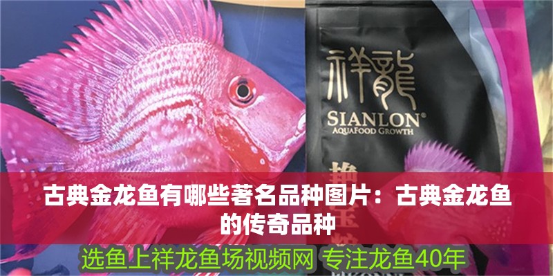 古典金龍魚有哪些著名品種圖片：古典金龍魚的傳奇品種