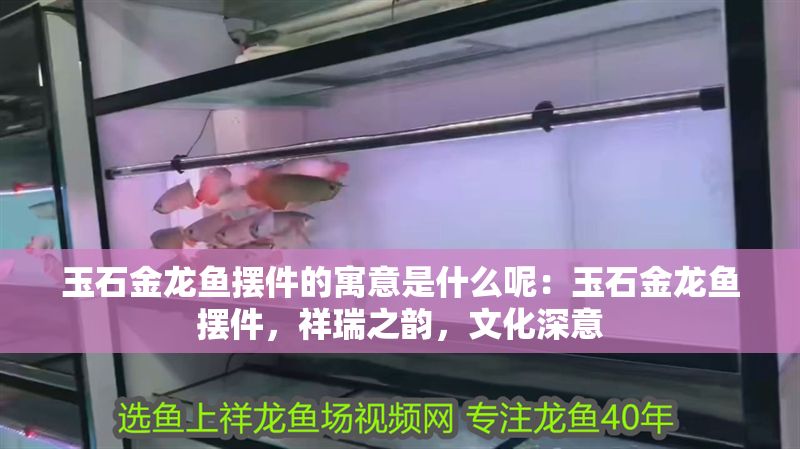 玉石金龍魚擺件的寓意是什么呢:玉石金龍魚擺件,祥瑞之韻,文化深意 龍魚百科 第1張 玉石金龍魚擺件的寓意是什么呢:玉石金龍魚擺件,祥瑞之韻,文化深意 玉石金龍魚擺件的寓意是什么呢:玉石金龍魚擺件,祥瑞之韻,文化深意 龍魚百科 第1張