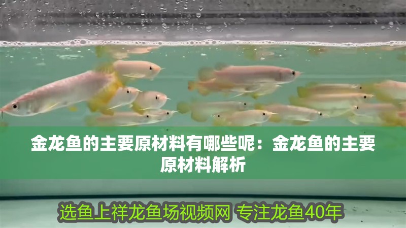 金龍魚的主要原材料有哪些呢：金龍魚的主要原材料解析