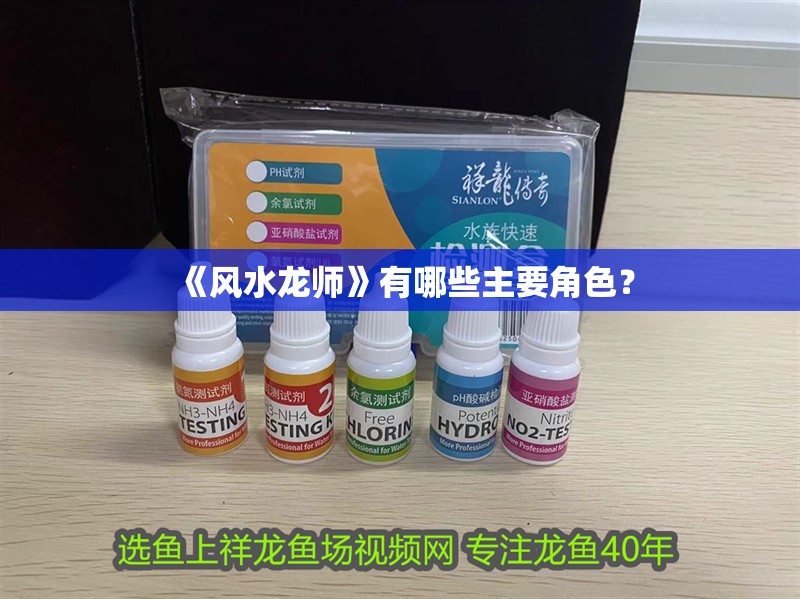 《風水龍師》有哪些主要角色？
