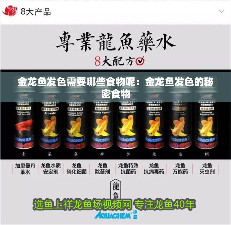 金龍魚發色需要哪些食物呢：金龍魚發色的秘密食物