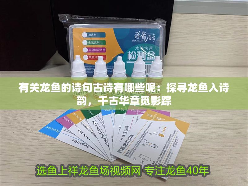 有關龍魚的詩句古詩有哪些呢：探尋龍魚入詩韻，千古華章覓影蹤