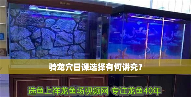騎龍穴日課選擇有何講究？ 騎龍穴日課選擇有何講究？ 龍魚(yú)百科