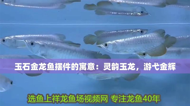 玉石金龍魚擺件的寓意：靈韻玉龍，游弋金輝 玉石金龍魚擺件的寓意：靈韻玉龍，游弋金輝 龍魚百科 第1張