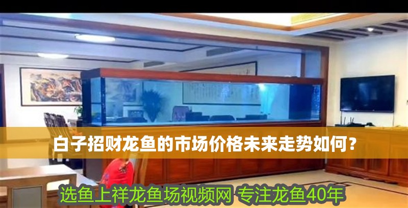 白子招財(cái)龍魚(yú)的市場(chǎng)價(jià)格未來(lái)走勢(shì)如何？
