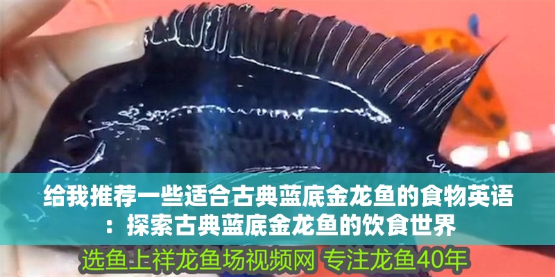 給我推薦一些適合古典藍底金龍魚的食物英語：探索古典藍底金龍魚的飲食世界