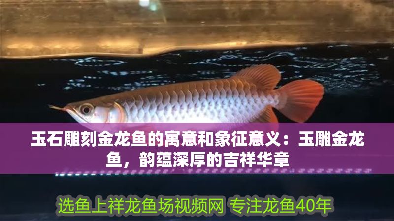 玉石雕刻金龍魚的寓意和象征意義：玉雕金龍魚，韻蘊(yùn)深厚的吉祥華章