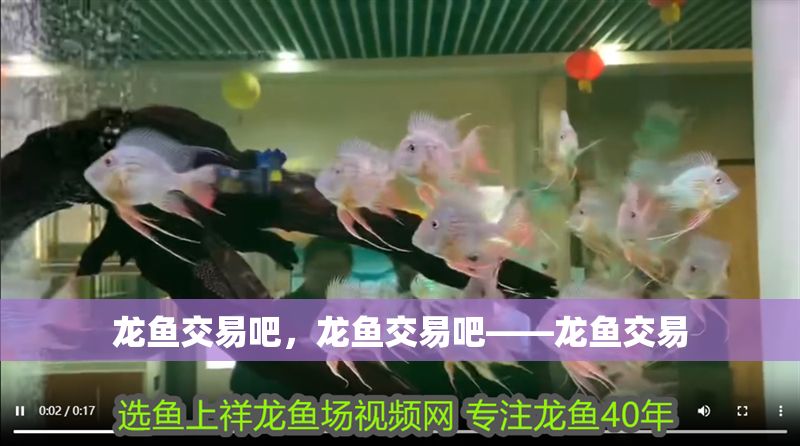 龍魚交易吧，龍魚交易吧——龍魚交易