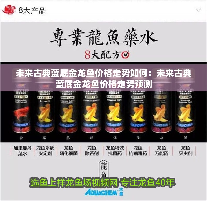 未來古典藍底金龍魚價格走勢如何：未來古典藍底金龍魚價格走勢預測
