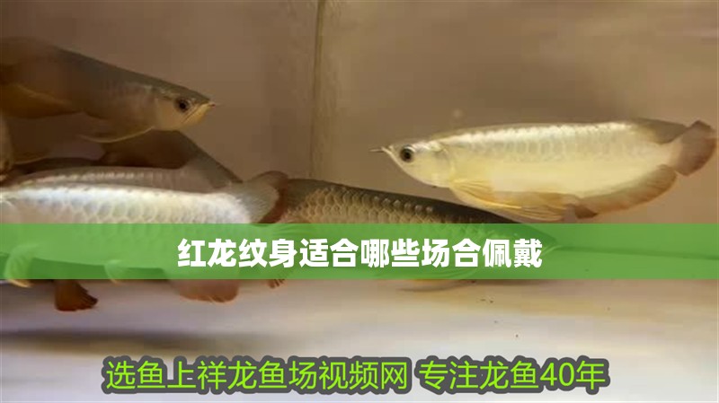 紅龍紋身適合哪些場合佩戴