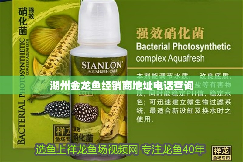 <strong><mark>湖州</mark></strong>金龍魚經銷商地址電話查詢