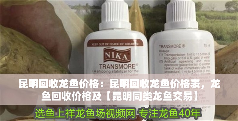 昆明回收龍魚價(jià)格：昆明回收龍魚價(jià)格表，龍魚回收價(jià)格及【昆明同類龍魚交易】