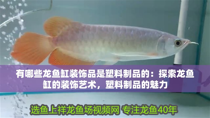 有哪些龍魚缸裝飾品是塑料制品的：探索龍魚缸的裝飾藝術(shù)，塑料制品的魅力