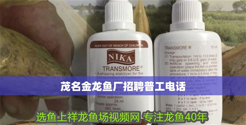 金金龍魚藍底過背（藍底過背金龍魚怎樣養） 金金龍魚藍底過背（藍底過背金龍魚怎樣養） 龍魚百科