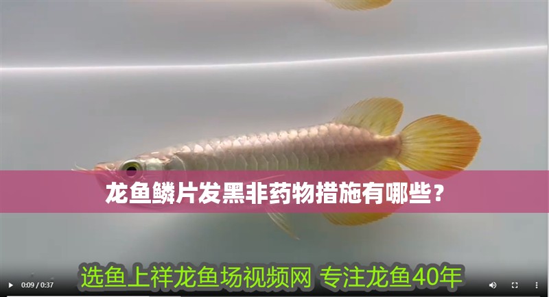 龍魚鱗片發黑非藥物措施有哪些？
