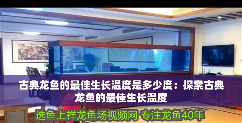 古典龍魚的最佳生長溫度是多少度：探索古典龍魚的最佳生長溫度