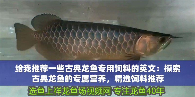 給我推薦一些古典龍魚專用飼料的英文：探索古典龍魚的專屬營養(yǎng)，精選飼料推薦