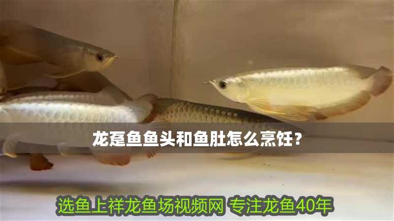 龍躉魚魚頭和魚肚怎么烹飪？