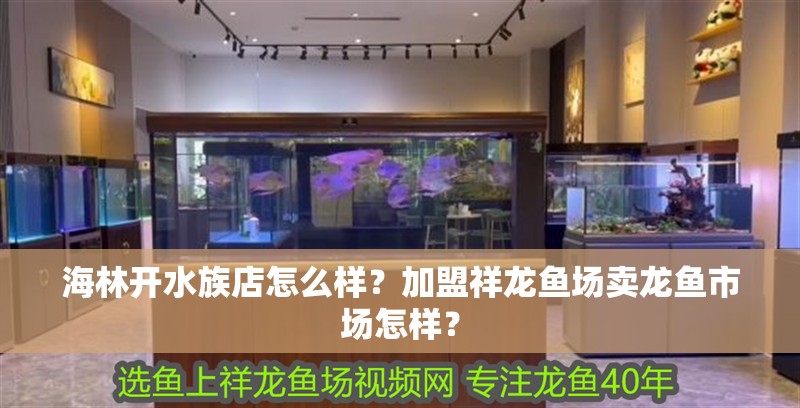 海林開水族店怎么樣？加盟祥龍魚場賣龍魚市場怎樣？ 海林開水族店怎么樣？加盟祥龍魚場賣龍魚市場怎樣？ 水族館百科（水族館加盟）