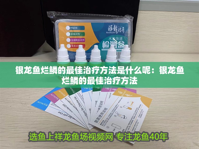銀龍魚爛鱗的最佳治療方法是什么呢：銀龍魚爛鱗的最佳治療方法