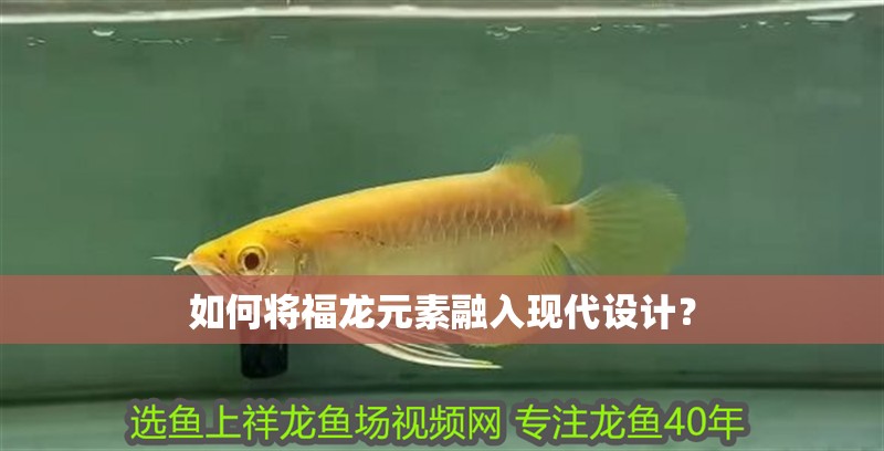 如何將福龍元素融入現代設計？