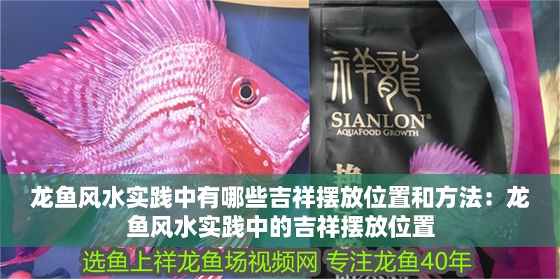 龍魚風水實踐中有哪些吉祥擺放位置和方法：龍魚風水實踐中的吉祥擺放位置