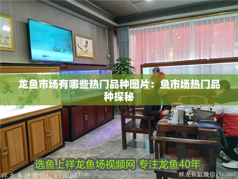 龍魚市場有哪些熱門品種圖片：魚市場熱門品種探秘