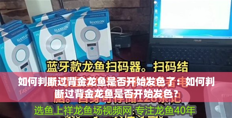 如何判斷過背金龍魚是否開始發色了：如何判斷過背金龍魚是否開始發色？