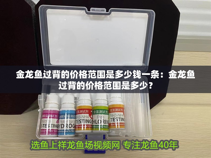 金龍魚過背的價格范圍是多少錢一條：金龍魚過背的價格范圍是多少？