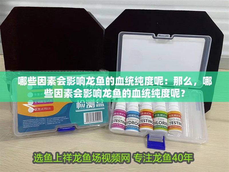哪些因素會影響龍魚的血統純度呢：那么，哪些因素會影響龍魚的血統純度呢？