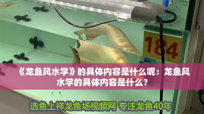 《龍魚風水學》的具體內容是什么呢：龍魚風水學的具體內容是什么？